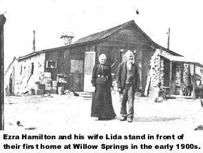 The Hamiltons